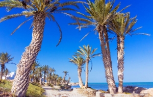 Tunisie, Djerba : séjour 8j/7n en hôtel 4* tout compris + vols